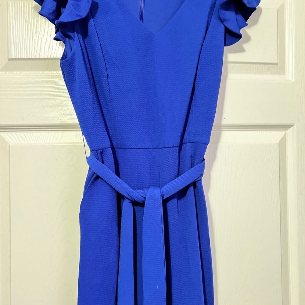 Elegant Blue Jumpsuit